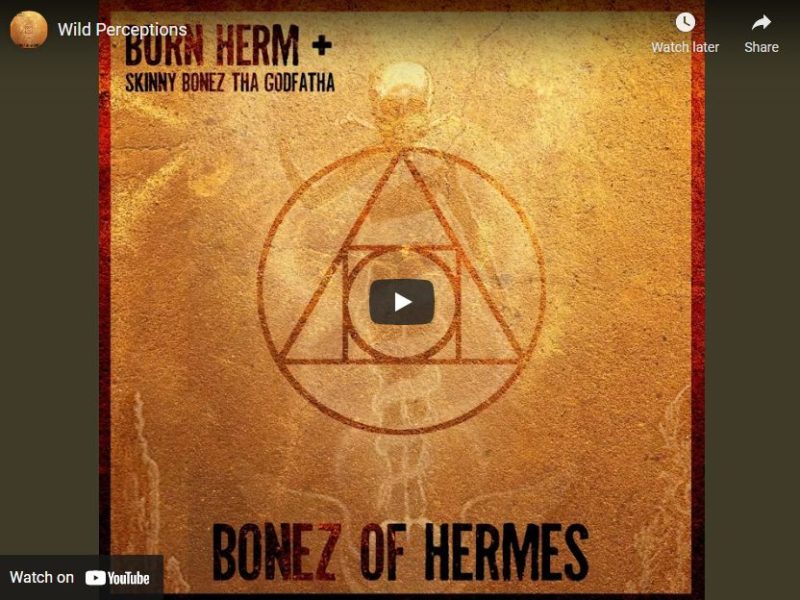 Burn Herm – Wild Perceptions